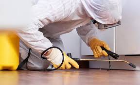 Best Residential Pest Control  in Frisco, TX